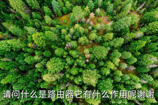 路由器的作用，請問什么是路由器它有什么作用呢謝謝
