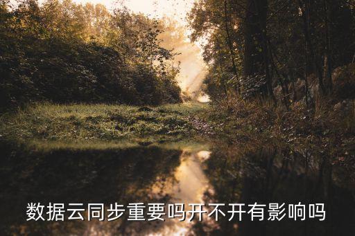 數(shù)據(jù)云同步重要嗎開(kāi)不開(kāi)有影響嗎