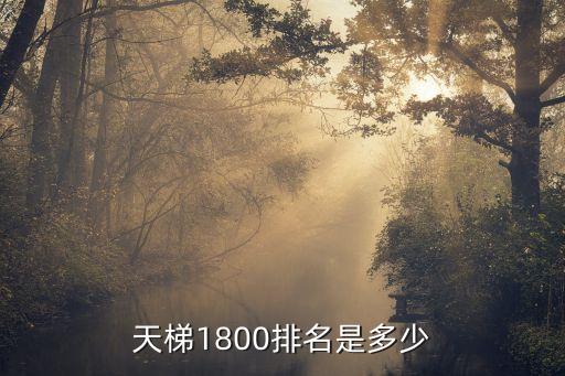 天梯排行榜，11天梯排行第一的是誰(shuí)