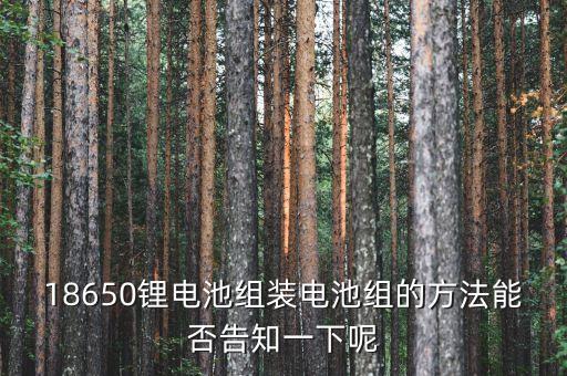 18650鋰電池組裝電池組的方法能否告知一下呢