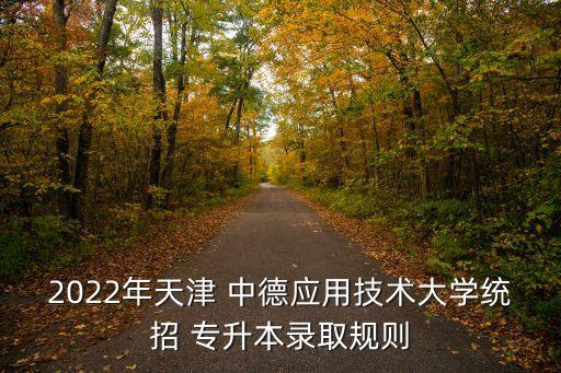 2022年天津 中德應(yīng)用技術(shù)大學(xué)統(tǒng)招 專升本錄取規(guī)則
