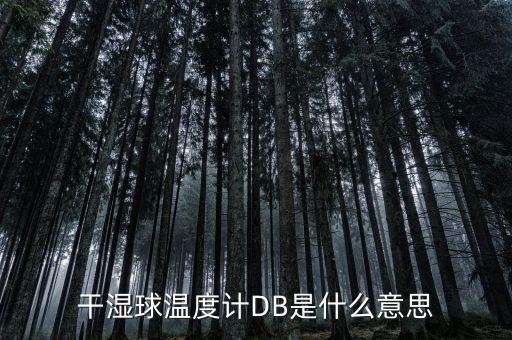 干濕球溫度表，干濕球溫度計(jì)DB是什么意思