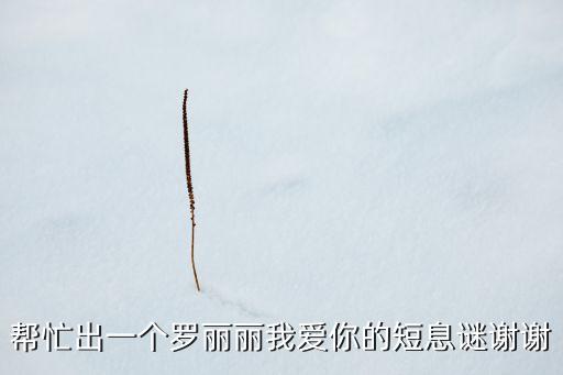 羅麗麗，怎樣有趣的介紹自己