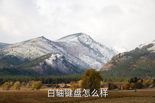 白軸鍵盤怎么樣