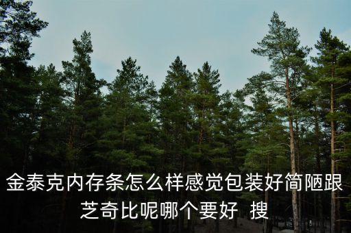 金泰克內(nèi)存條怎么樣感覺包裝好簡陋跟芝奇比呢哪個要好  搜