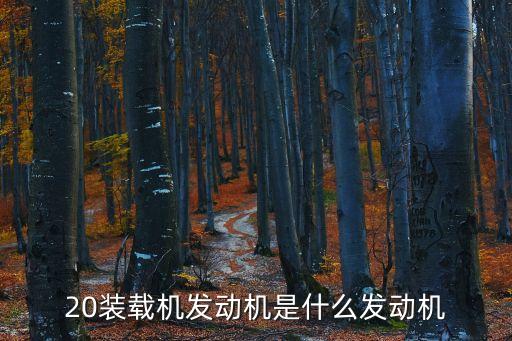 20裝載機發(fā)動機是什么發(fā)動機