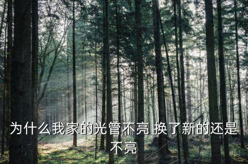 為什么我家的光管不亮 換了新的還是不亮