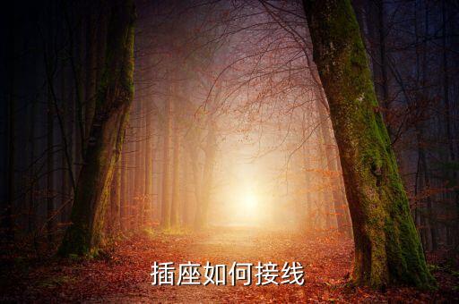 插座如何接線