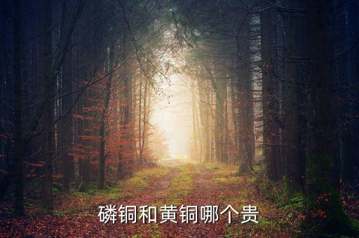 磷銅，磷銅與電解銅有什么區(qū)別