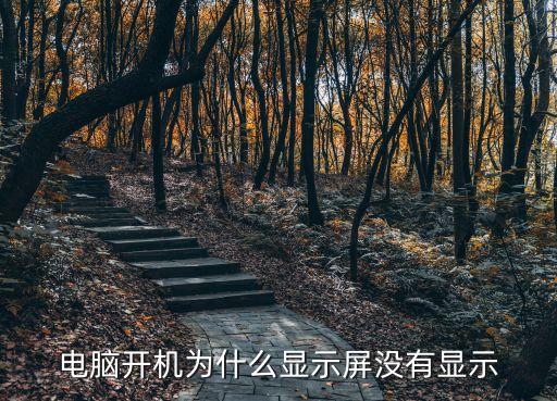 電腦開機(jī)為什么顯示屏沒(méi)有顯示