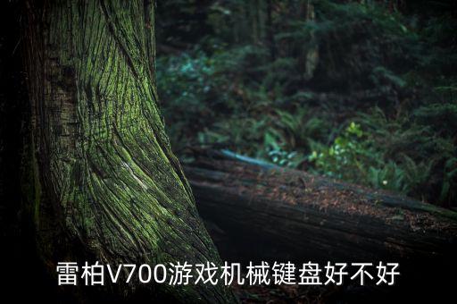 雷柏V700游戲機(jī)械鍵盤好不好