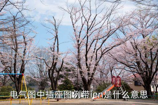 電氣圖中插座圖例帶ien是什么意思