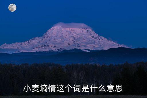 小麥墑情這個詞是什么意思