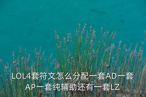 LOL4套符文怎么分配一套AD一套AP一套純輔助還有一套LZ