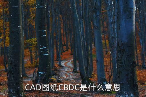 CAD圖紙CBDC是什么意思
