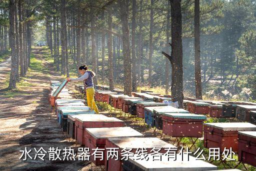 水冷散熱器，水冷散熱器是什么東西哪里賣的