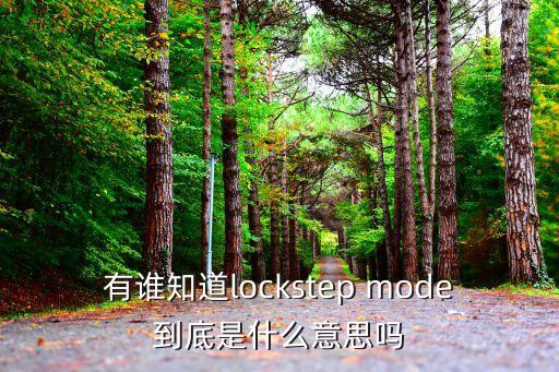 有誰(shuí)知道lockstep mode到底是什么意思嗎