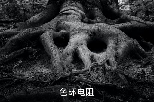 色環(huán)電阻