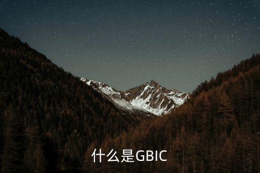 什么是GBIC