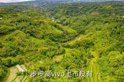步步高vivo上市沒有