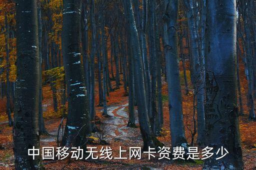 中國(guó)移動(dòng)無線上網(wǎng)卡資費(fèi)是多少