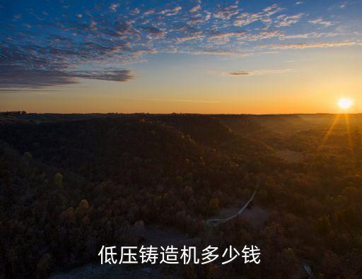 低壓鑄造機(jī)多少錢
