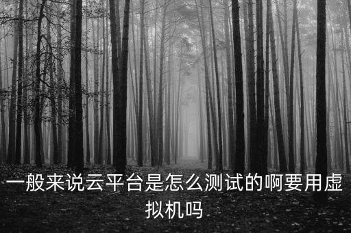 云測平臺，DevStore的云測Testin服務(wù)評測怎么樣