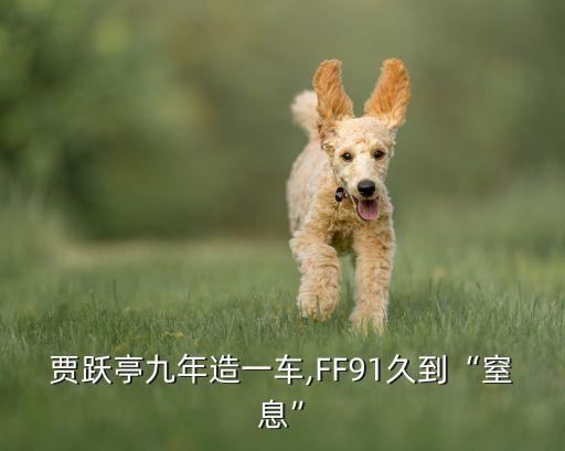 賈躍亭九年造一車,FF91久到“窒息”