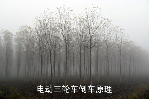 電動(dòng)三輪車倒車原理