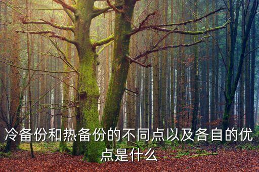 冷備份和熱備份的不同點(diǎn)以及各自的優(yōu)點(diǎn)是什么