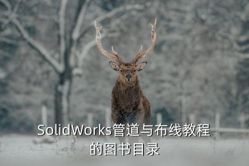 SolidWorks管道與布線教程的圖書目錄
