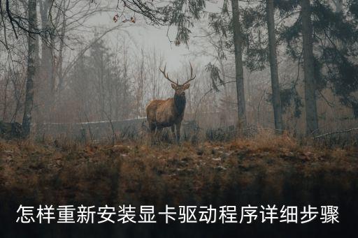 怎樣重新安裝顯卡驅(qū)動(dòng)程序詳細(xì)步驟
