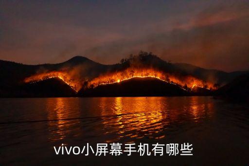 小屏手機有哪些，哪款名牌手機的屏幕很小