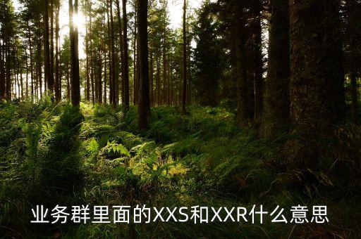 業(yè)務(wù)群里面的XXS和XXR什么意思