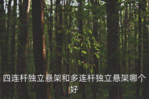 四連桿獨(dú)立懸架和多連桿獨(dú)立懸架哪個(gè)好