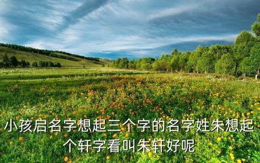 小孩啟名字想起三個(gè)字的名字姓朱想起個(gè)軒字看叫朱軒好呢