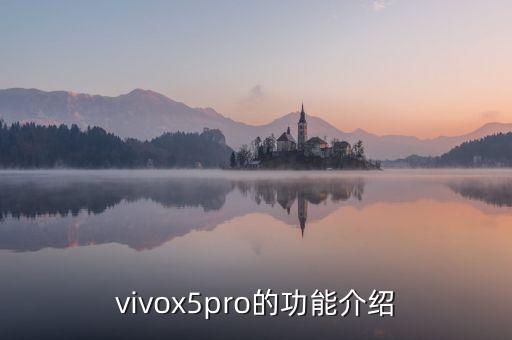 vivox5pro的功能介紹