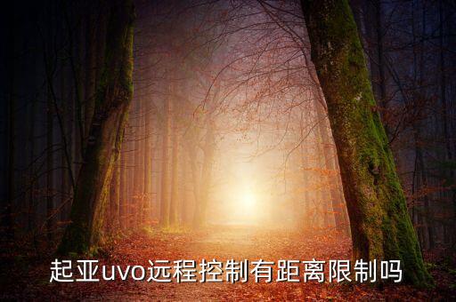 起亞uvo遠程控制有距離限制嗎