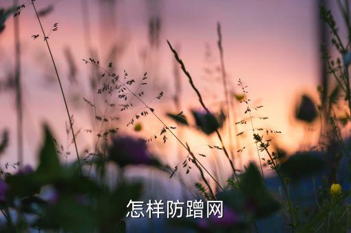 怎樣防蹭網(wǎng)