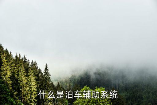 什么是泊車輔助系統(tǒng)