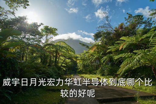 威宇日月光宏力華虹半導(dǎo)體到底哪個(gè)比較的好呢