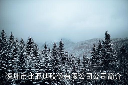 深圳市比亞迪股份有限公司公司簡介