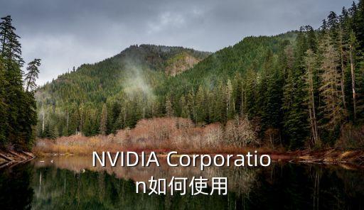 英偉達(dá)中國，nvidia中文官網(wǎng)