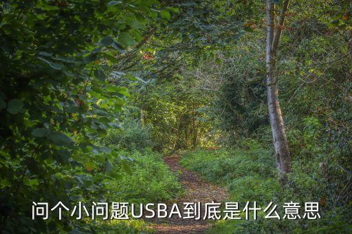 usba，USBA是什么
