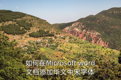 華文中宋，為什么word里沒有華文中宋字體