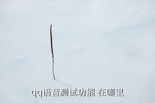 qq語音測試功能 在哪里