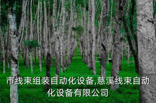 東莞市線束組裝自動化設備,慈溪線束自動化設備有限公司