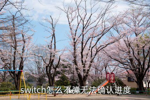  switch怎么不彈無法確認(rèn)進(jìn)度