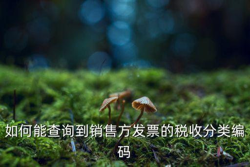 如何能查詢到銷售方發(fā)票的稅收分類編碼