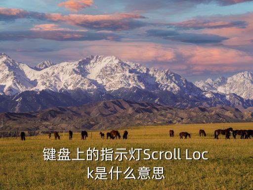 鍵盤上的指示燈Scroll Lock是什么意思